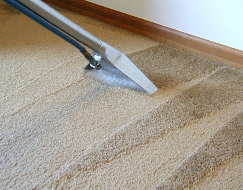 calgary carpet cleaners