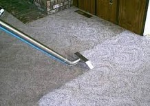 Very dirty carpets in rental suite